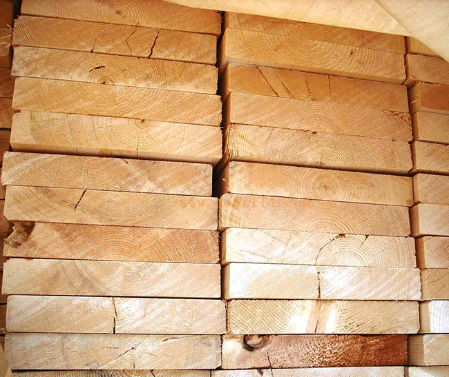 北海智利辐射松方木