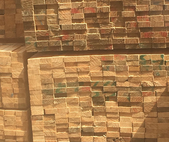 北海新西兰进口松木